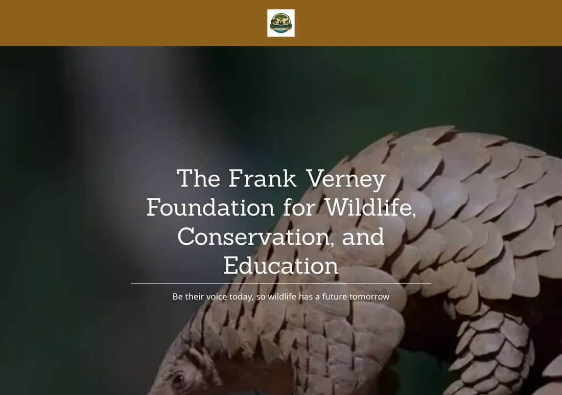 The old FV Foundation website, before DV8 Web rebuilt it