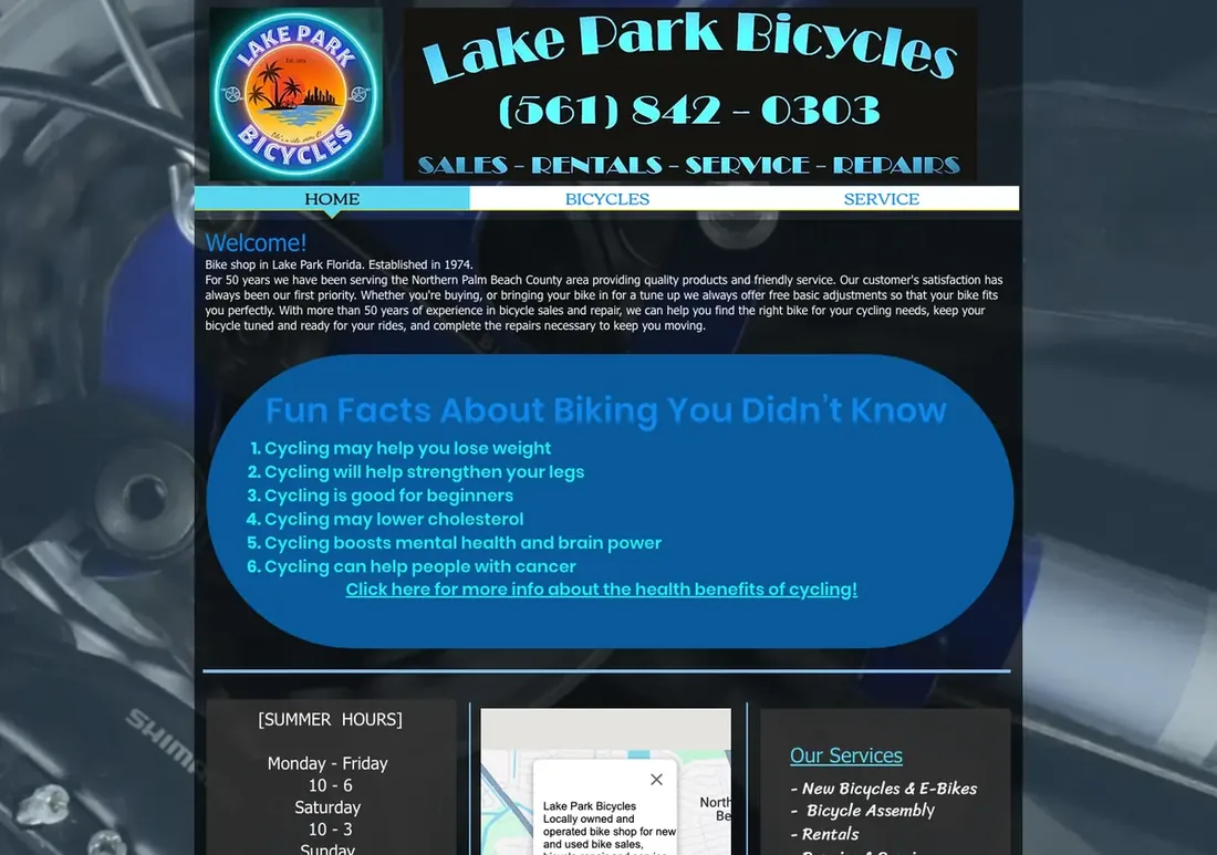 The old Lake Park Bicycles website, before DV8 Web rebuilt it